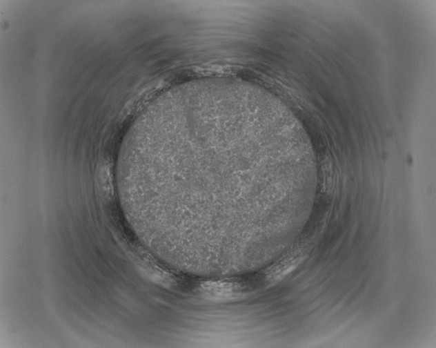 X0000079310699200612151752