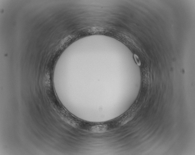 X0000079310700200612151752