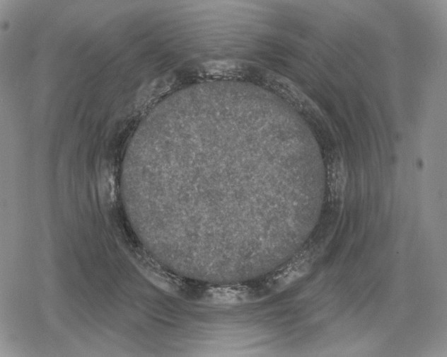 X0000079310703200612151752