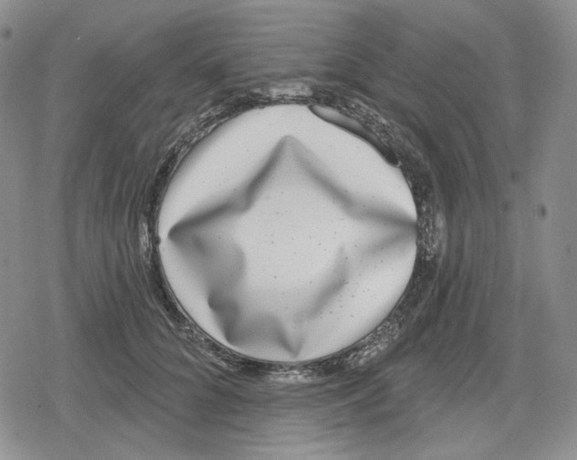 X0000079310704200612151752