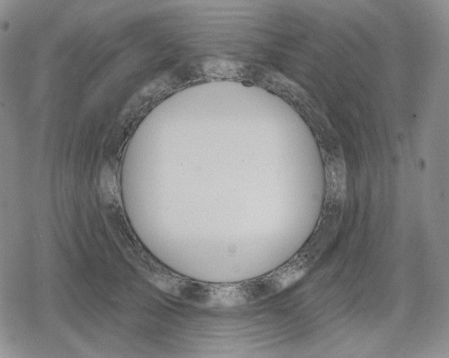 X0000079310705200612151752