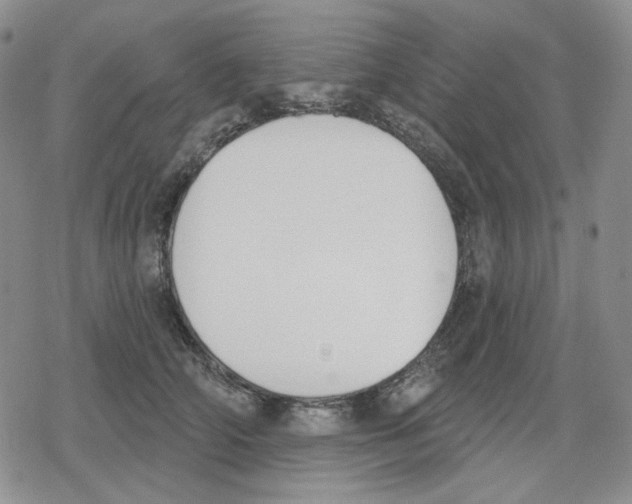 X0000079310706200612151752