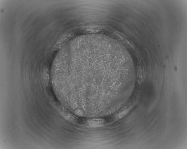 X0000079310707200612151752