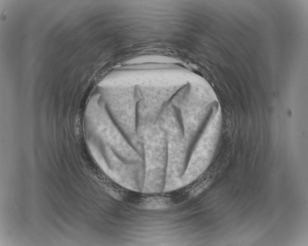 X0000079310708200612151752