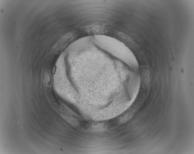 X0000079310709200612151752