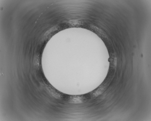 X0000079310710200612151752