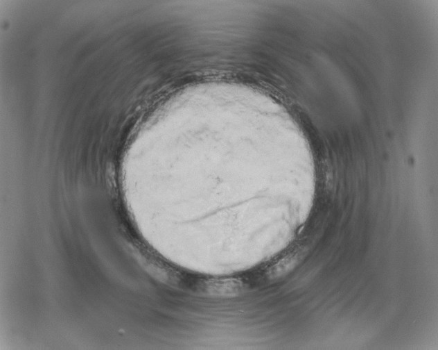 X0000079310711200612151752