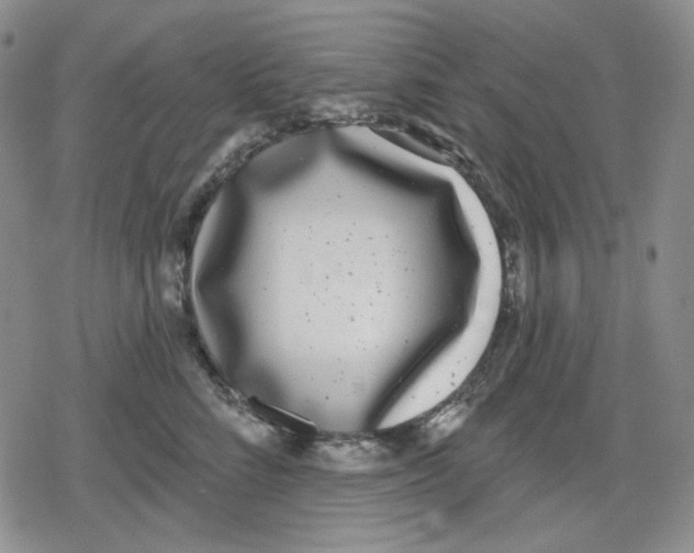 X0000079310712200612151752