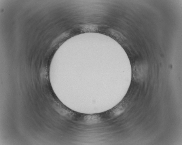 X0000079310714200612151752