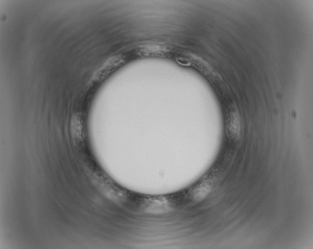 X0000079310715200612151752