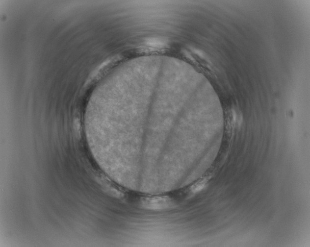 X0000079310716200612151752