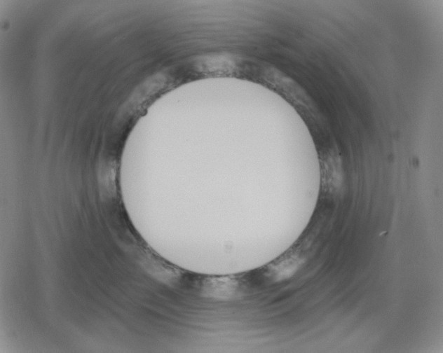 X0000079310717200612151752