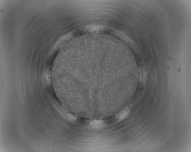 X0000079310718200612151752