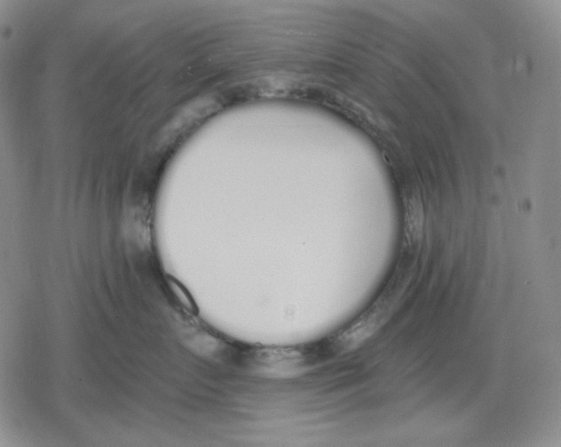 X0000079310719200612151752