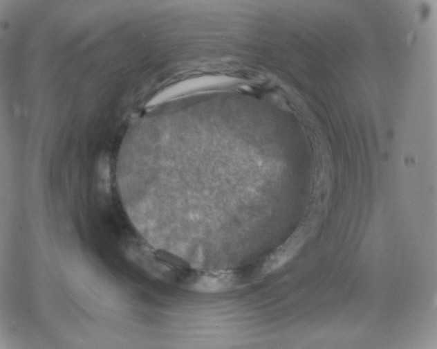 X0000079310720200612151752