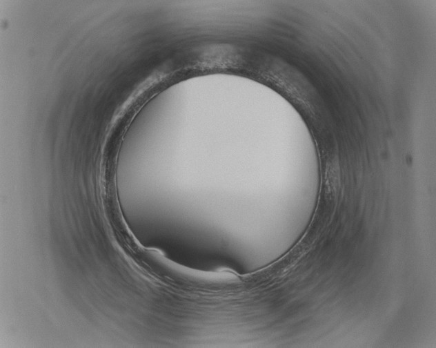 X0000079310722200612151751