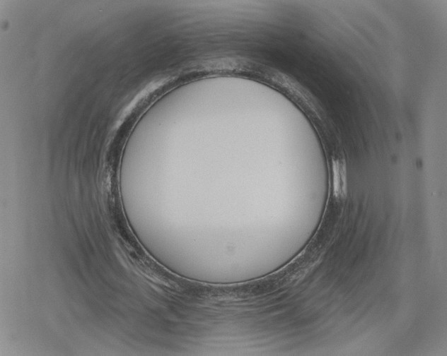 X0000079310723200612151751