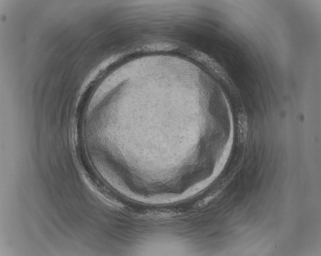 X0000079310726200612151751