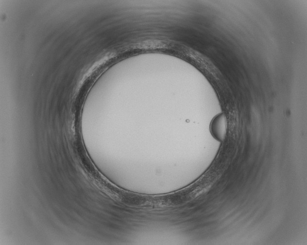 X0000079310727200612151751