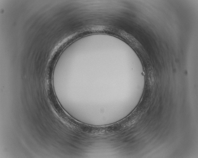 X0000079310728200612151751