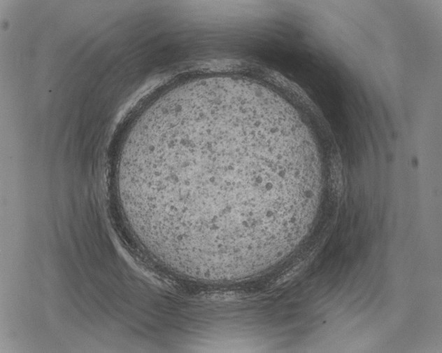 X0000079310730200612151751