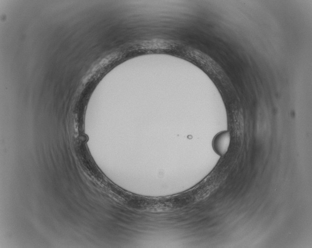 X0000079310731200612151751