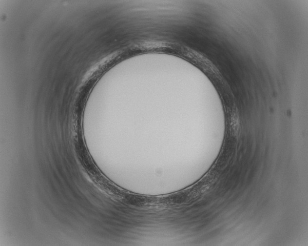 X0000079310732200612151751