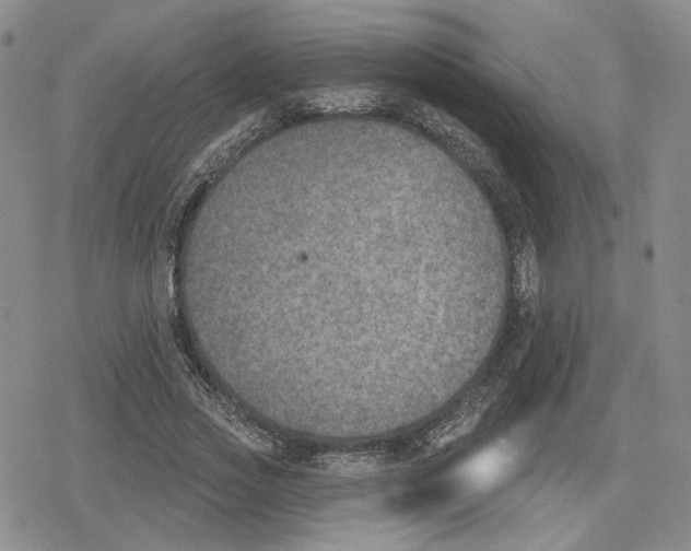 X0000079310733200612151751