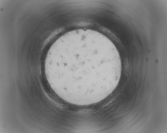 X0000079310734200612151751