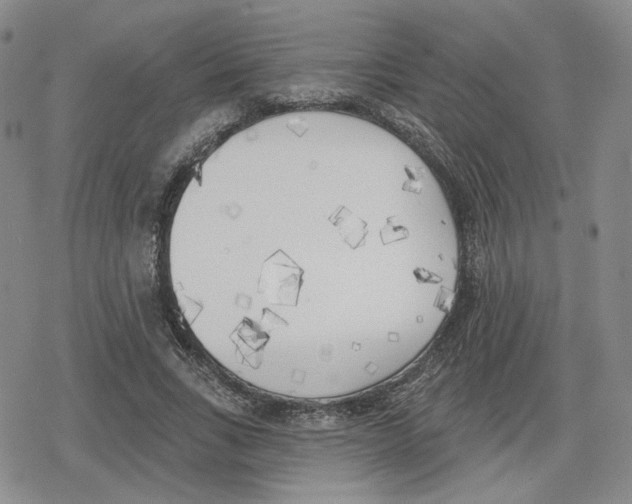 X0000079310735200612151751