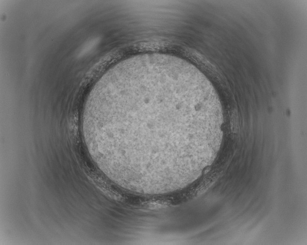 X0000079310737200612151751