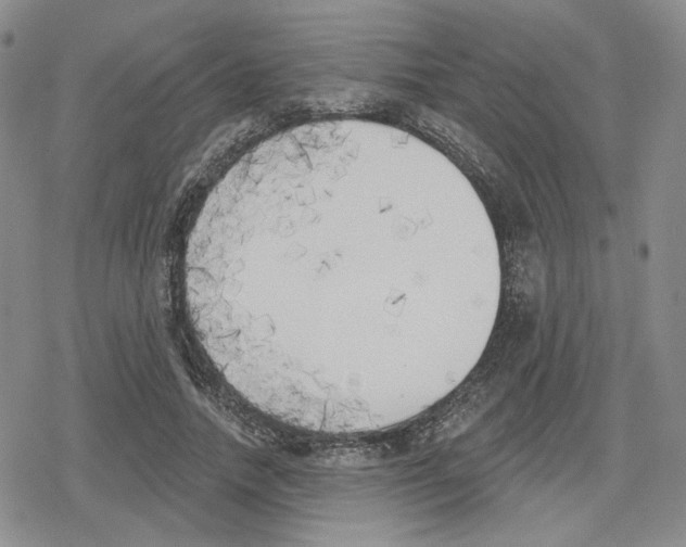 X0000079310738200612151751