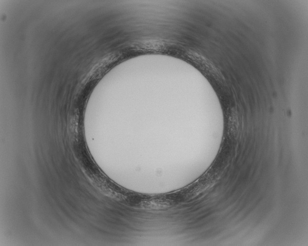 X0000079310739200612151751