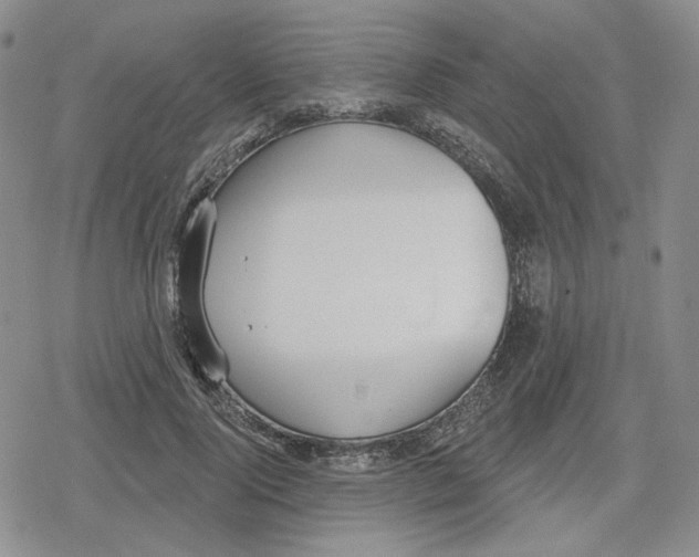 X0000079310740200612151751