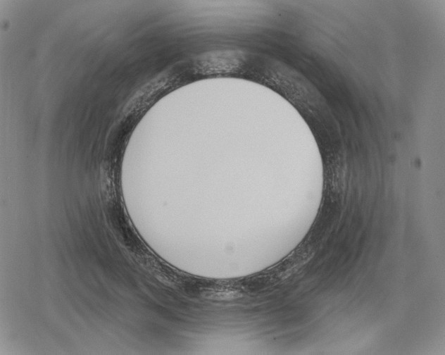 X0000079310743200612151752