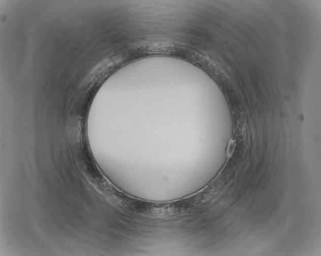 X0000079310744200612151752