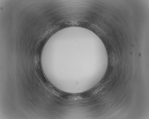 X0000079310747200612151752