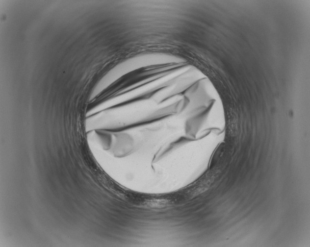 X0000079310748200612151752