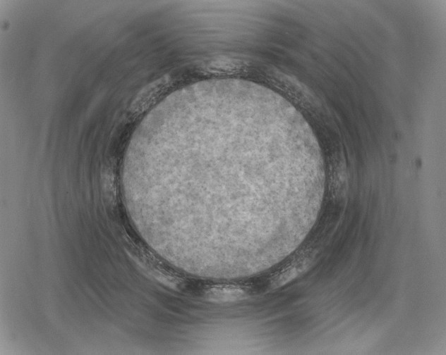 X0000079310749200612151752