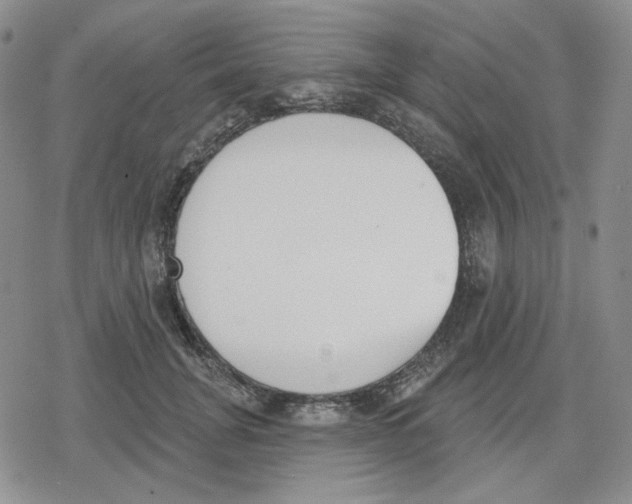 X0000079310751200612151752