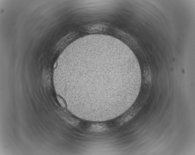 X0000079310753200612151752