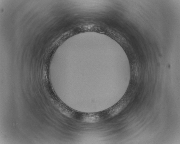 X0000079310754200612151752