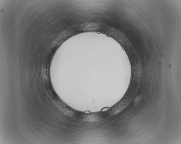 X0000079310755200612151752