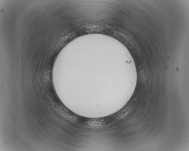 X0000079310756200612151752