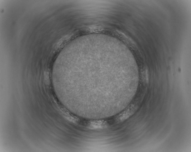 X0000079310757200612151752