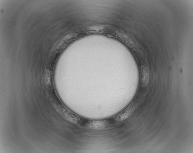 X0000079310758200612151752