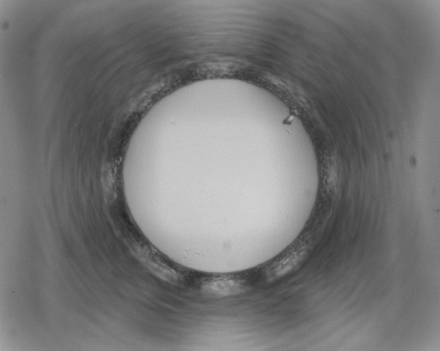 X0000079310759200612151752