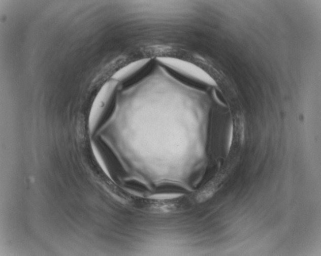 X0000079310760200612151752