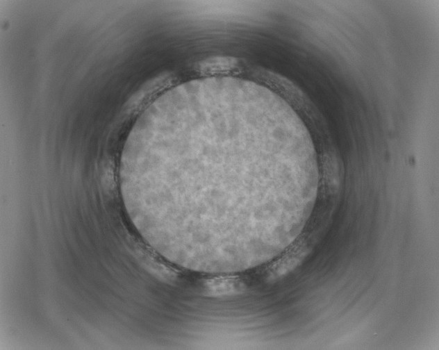 X0000079310761200612151752