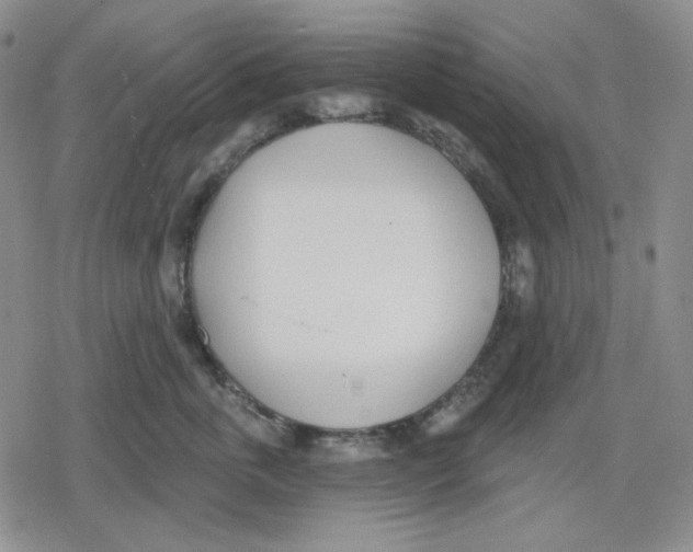 X0000079310763200612151752